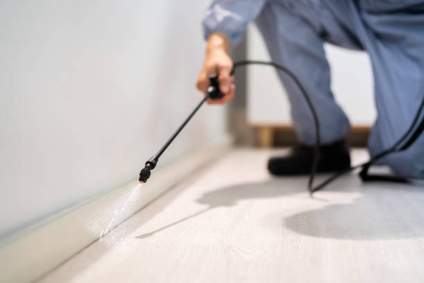 Licensed Mosquito Control service in Haines, AK - Show Me Pest Control