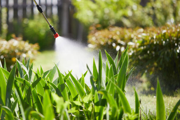 24/7 Emergency Mosquito Control experts in Haines, AK
