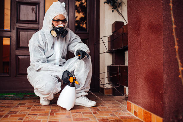 Reliable Mosquito Control contractor in Haines, AK by Show Me Pest Control